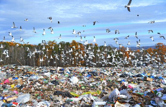 Sorting and recycling household waste in Chelyabinsk region