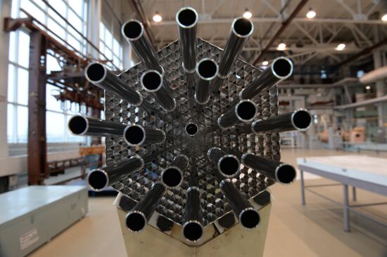 Novosibirsk Chemical Concentrates Factory