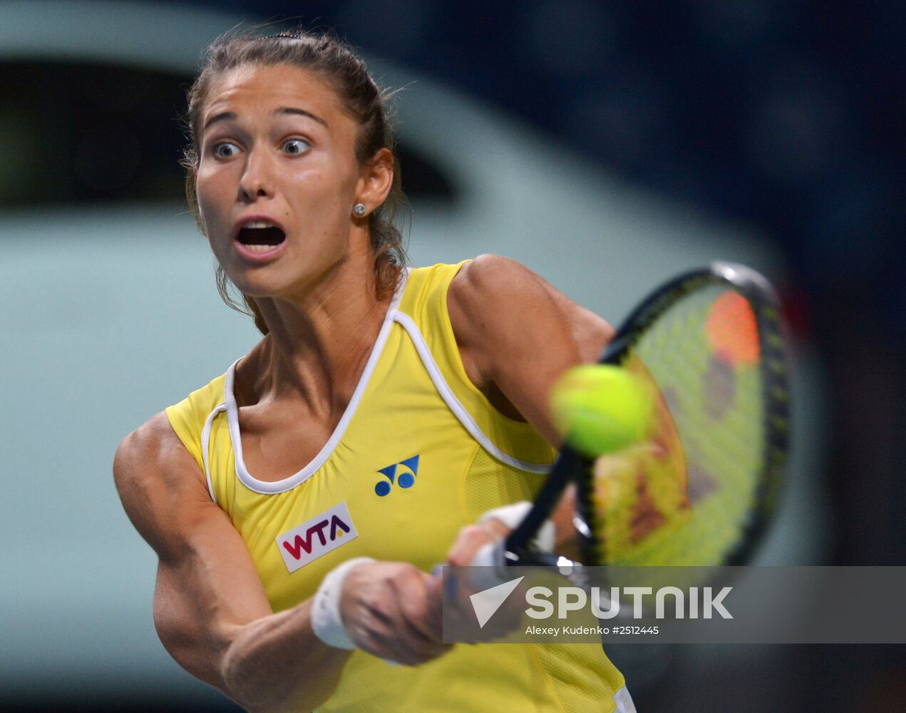 Tennis. 2014 Kremlin Cup. Day Five