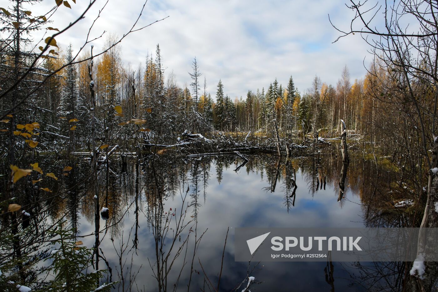 Regions of Russia. Karelia