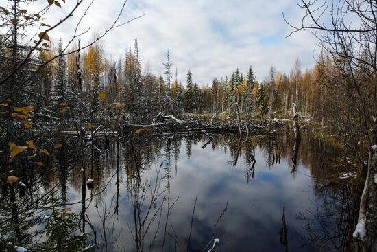 Regions of Russia. Karelia