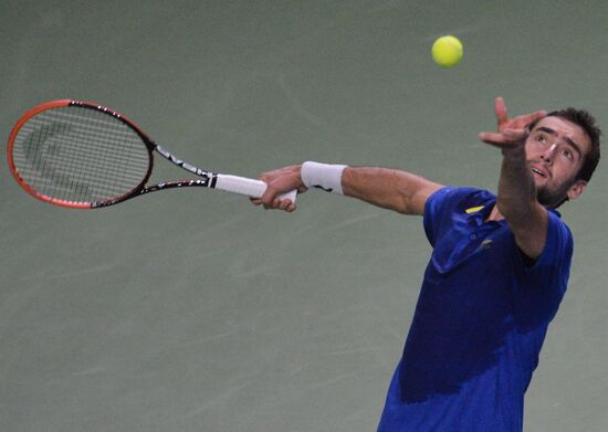 Tennis. 2014 Kremlin Cup. Day Seven