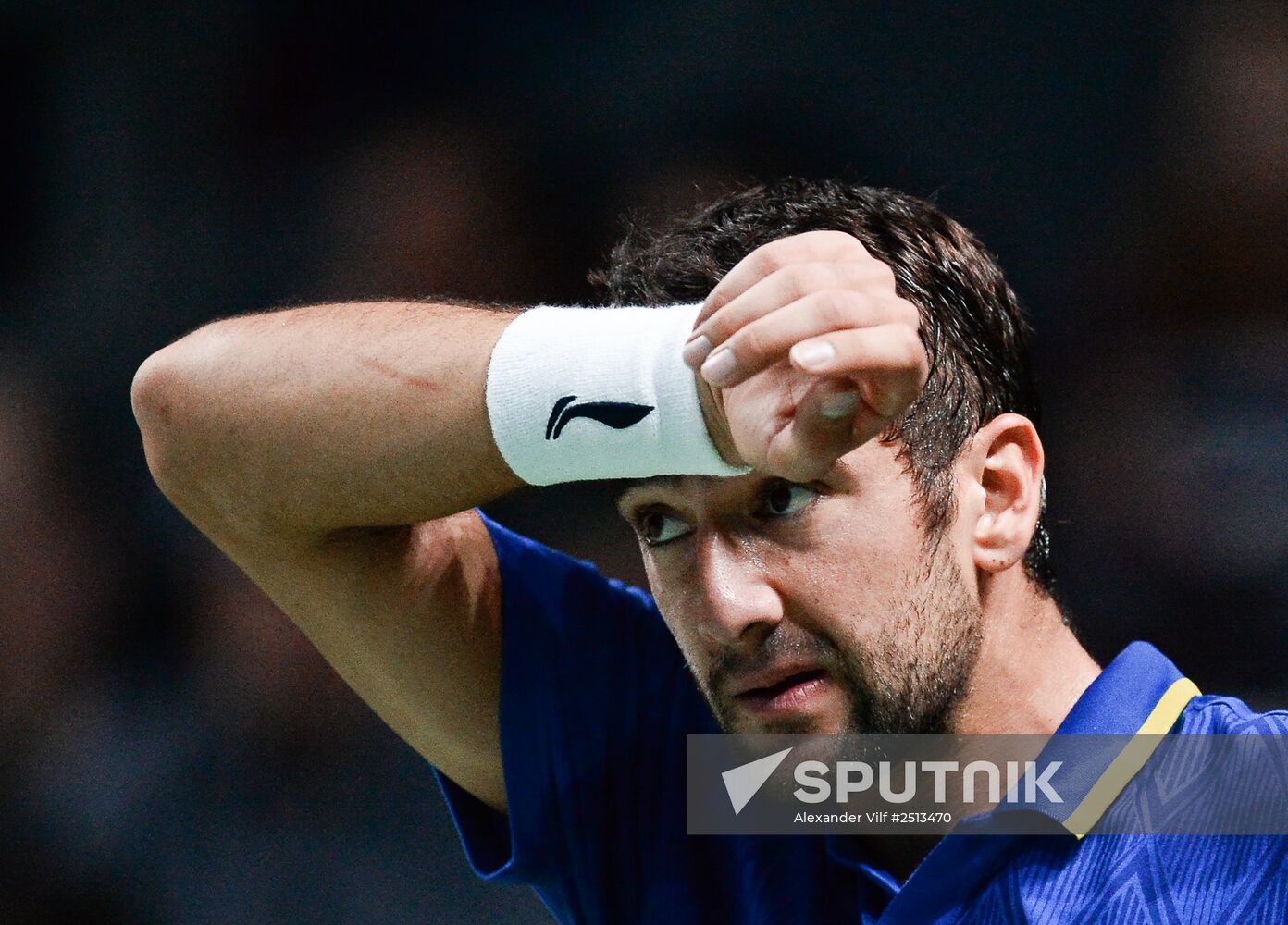 Tennis. 2014 Kremlin Cup. Day Seven