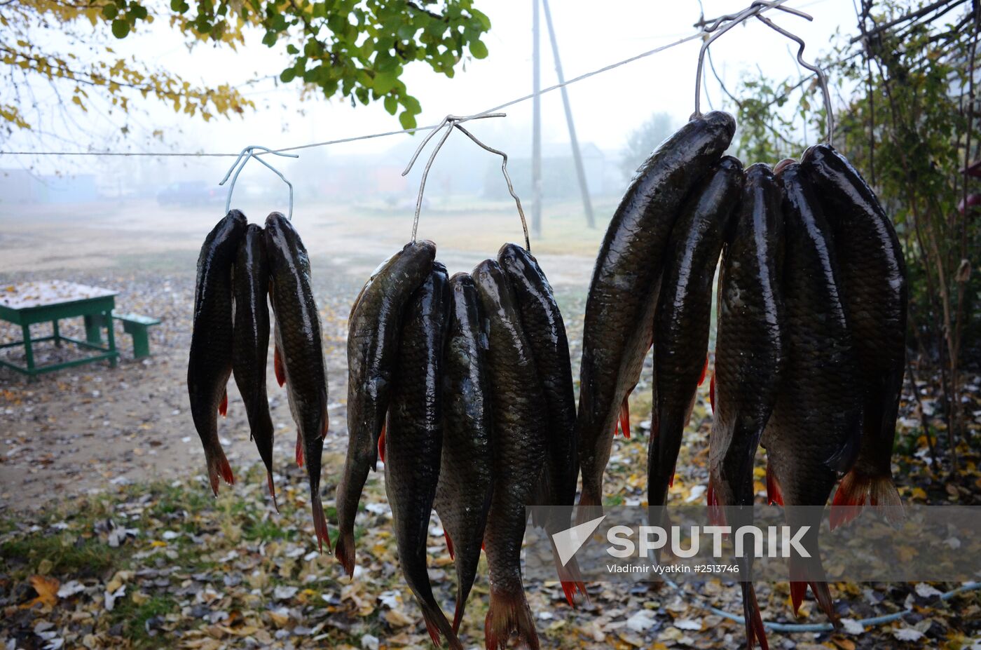 Fall fishing in Astrakhan Region