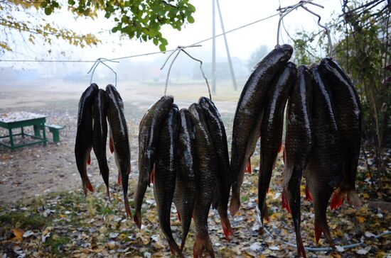 Fall fishing in Astrakhan Region