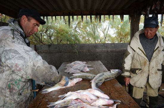 Fall fishing in Astrakhan Region