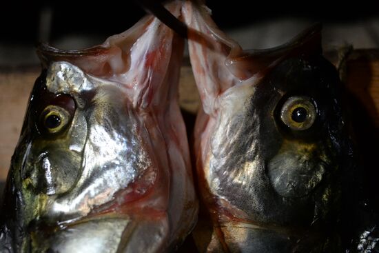 Fall fishing in Astrakhan Region