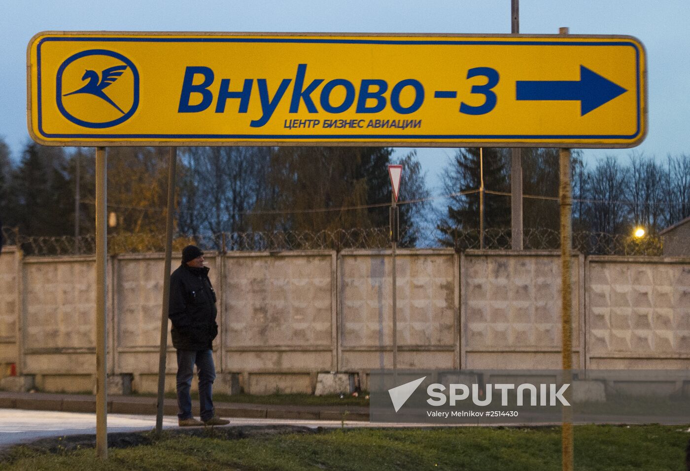 Plane crashes at Vnukovo Airport