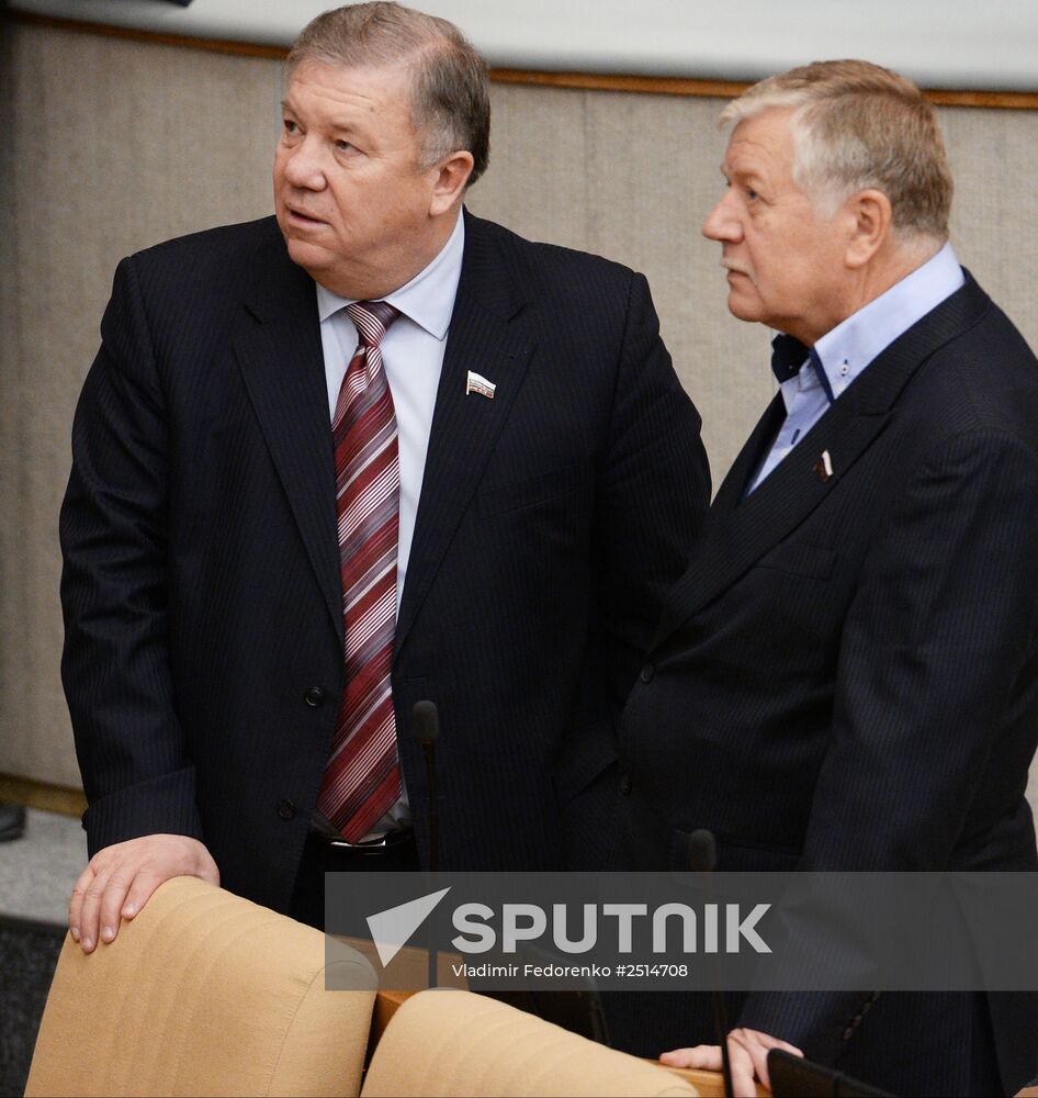 Plenary meeting of the State Duma of the Russian Federation