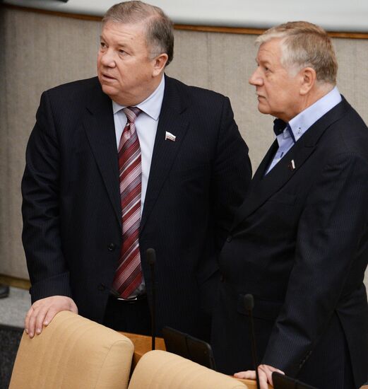 Plenary meeting of the State Duma of the Russian Federation