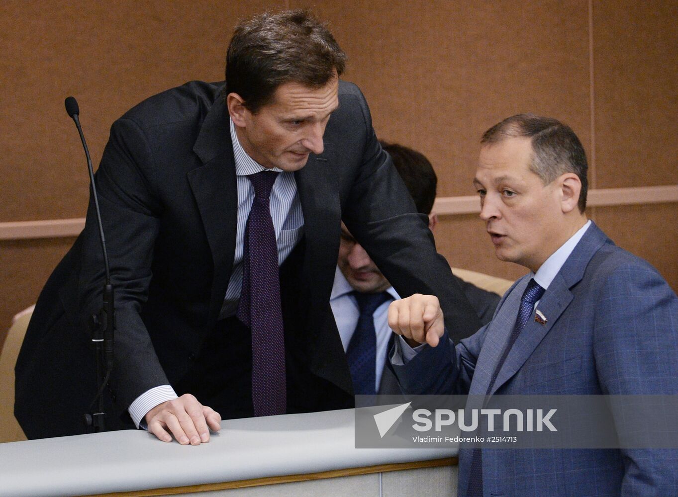 Plenary meeting of the State Duma of the Russian Federation