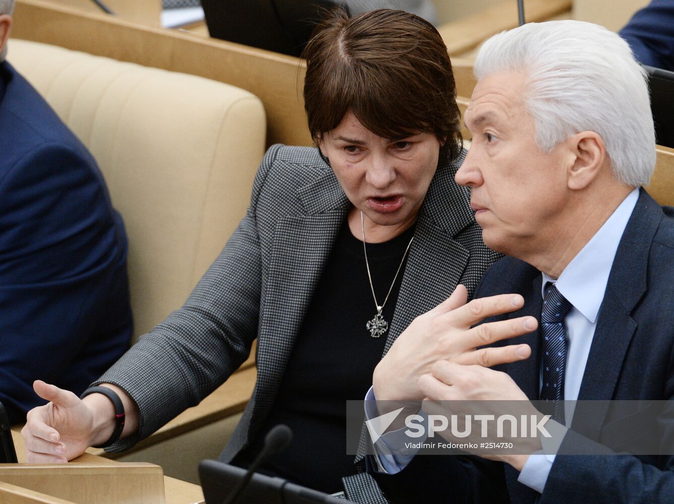 State Duma plenary meeting