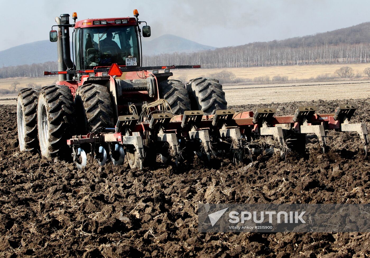 Harvesting soybeans in Primorye Territory
