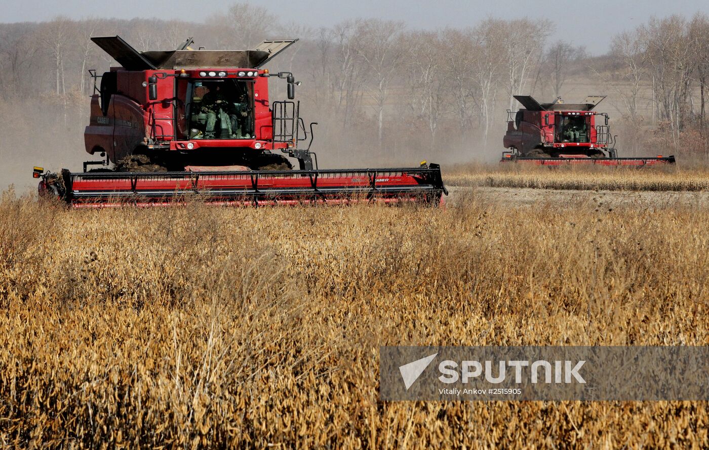 Harvesting soybeans in Primorye Territory