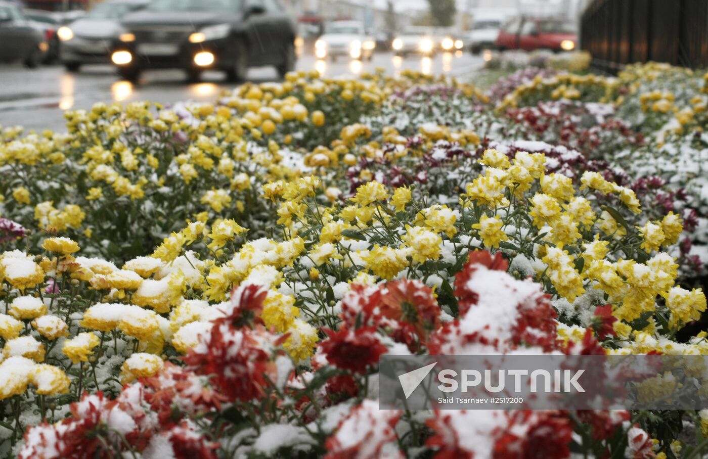 First snow in Grozny