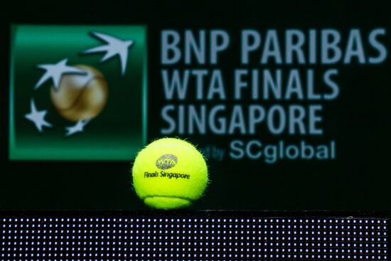 Tennis. WTA finals. Day Seven