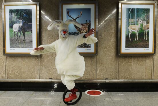 Photo exhibition "150th Anniversary of Moscow Zoo" opens at Metro Gallery