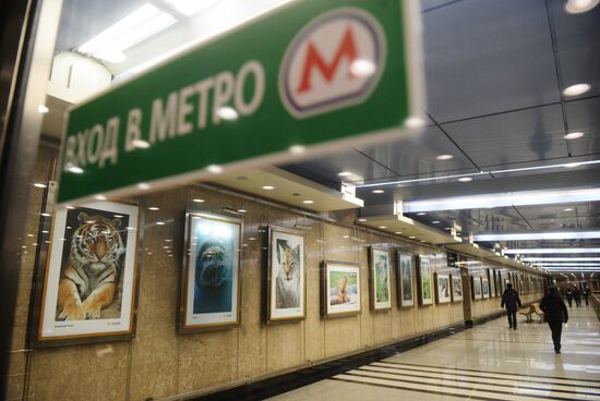 Photo exhibition "150th Anniversary of Moscow Zoo" opens at Metro Gallery