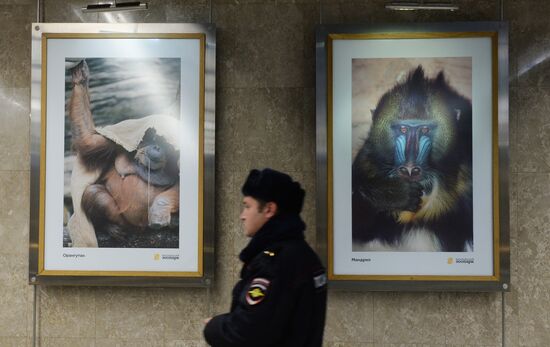 Photo exhibition "150th Anniversary of Moscow Zoo" opens at Metro Gallery