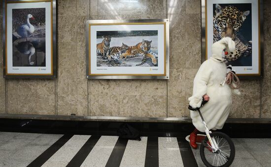 Photo exhibition "150th Anniversary of Moscow Zoo" opens at Metro Gallery