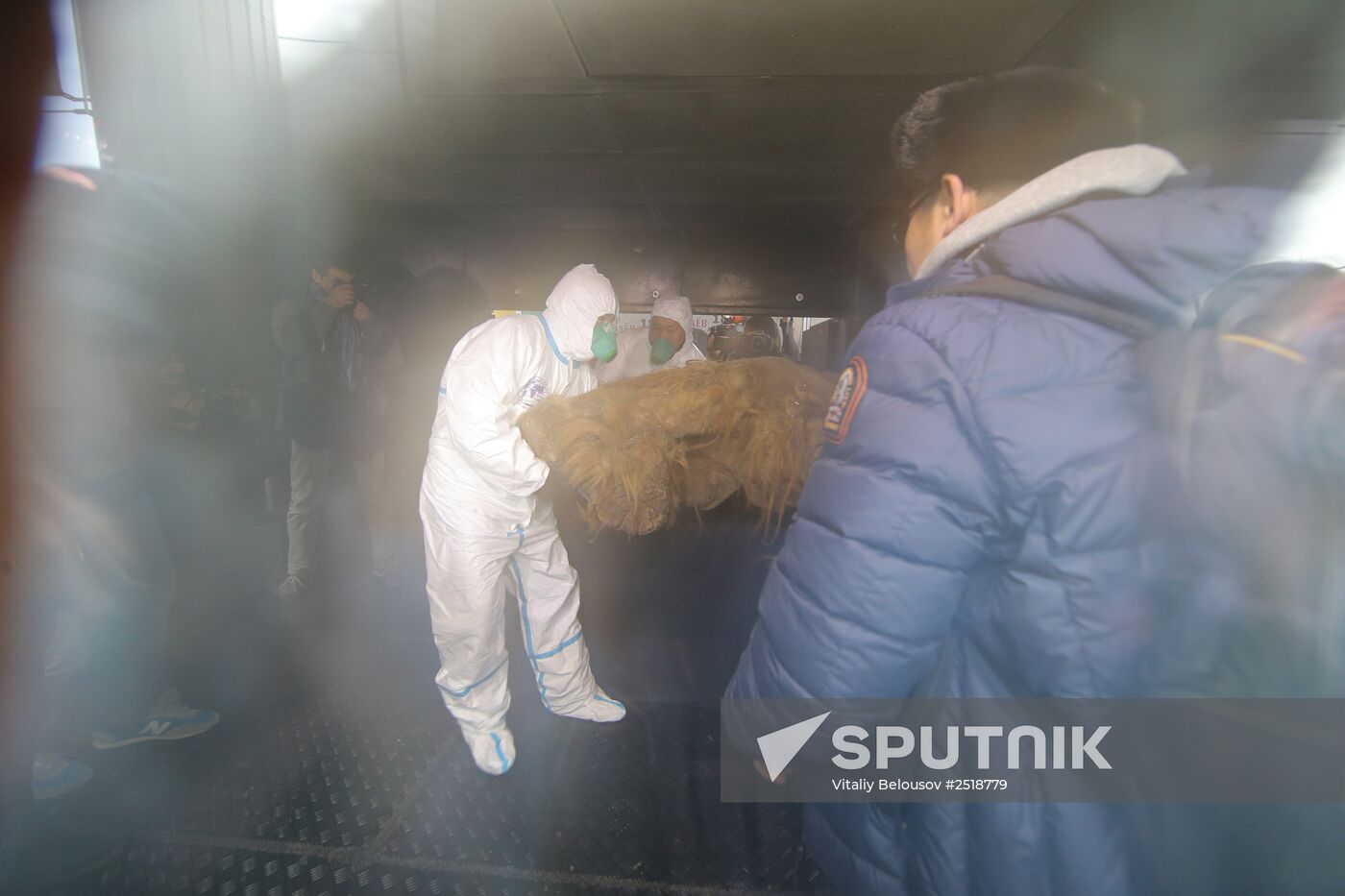 Famous Yakutian baby mammoth delivered to Central Artist House