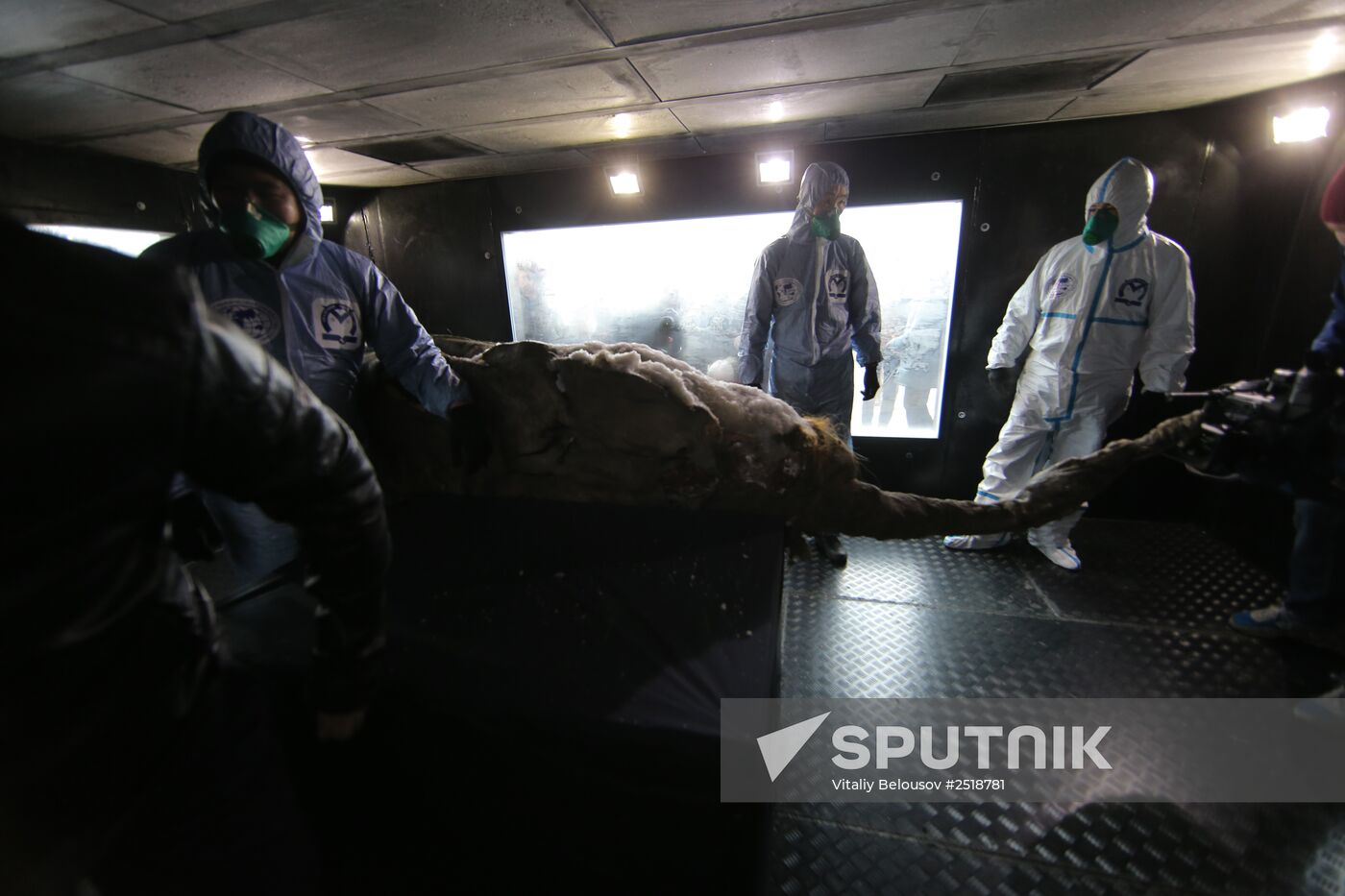 Famous Yakutian baby mammoth delivered to Central Artist House