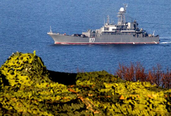 Pacific Fleet Marines hold exercise in Primorsky region
