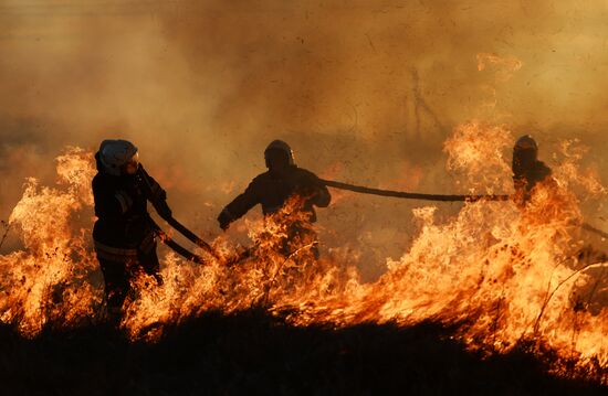Wildfires in Novgorod Region