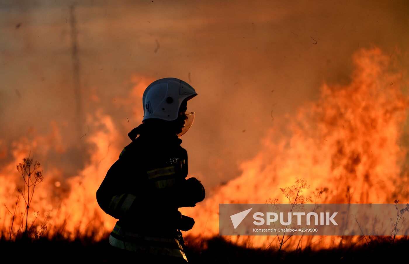 Wildfires in Novgorod Region