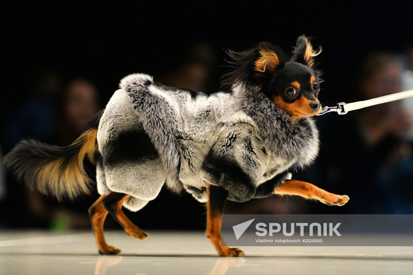 "Made in Russia" Moscow Fashion Week. Day Two