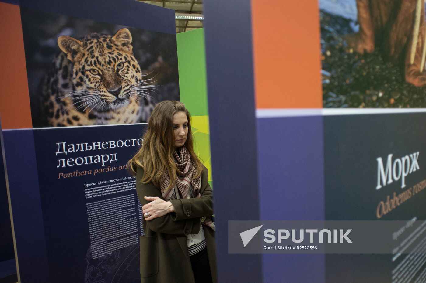 First Russian Geographical Society Festival