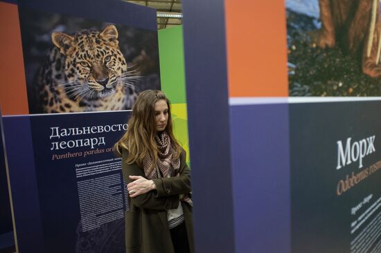 First Russian Geographical Society Festival