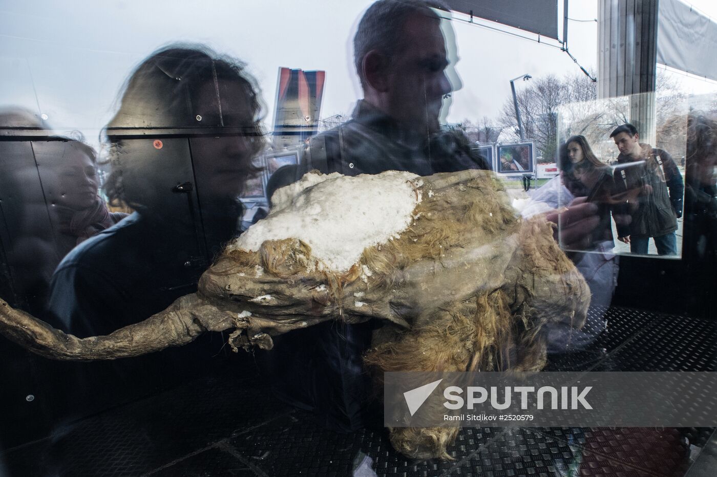 First Russian Geographical Society Festival