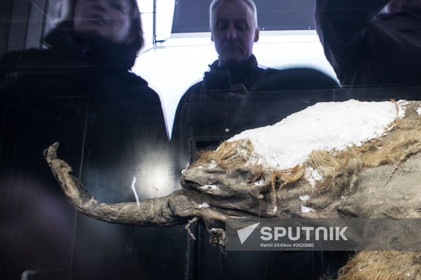 First Russian Geographical Society Festival