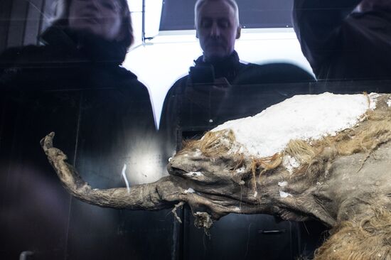 First Russian Geographical Society Festival