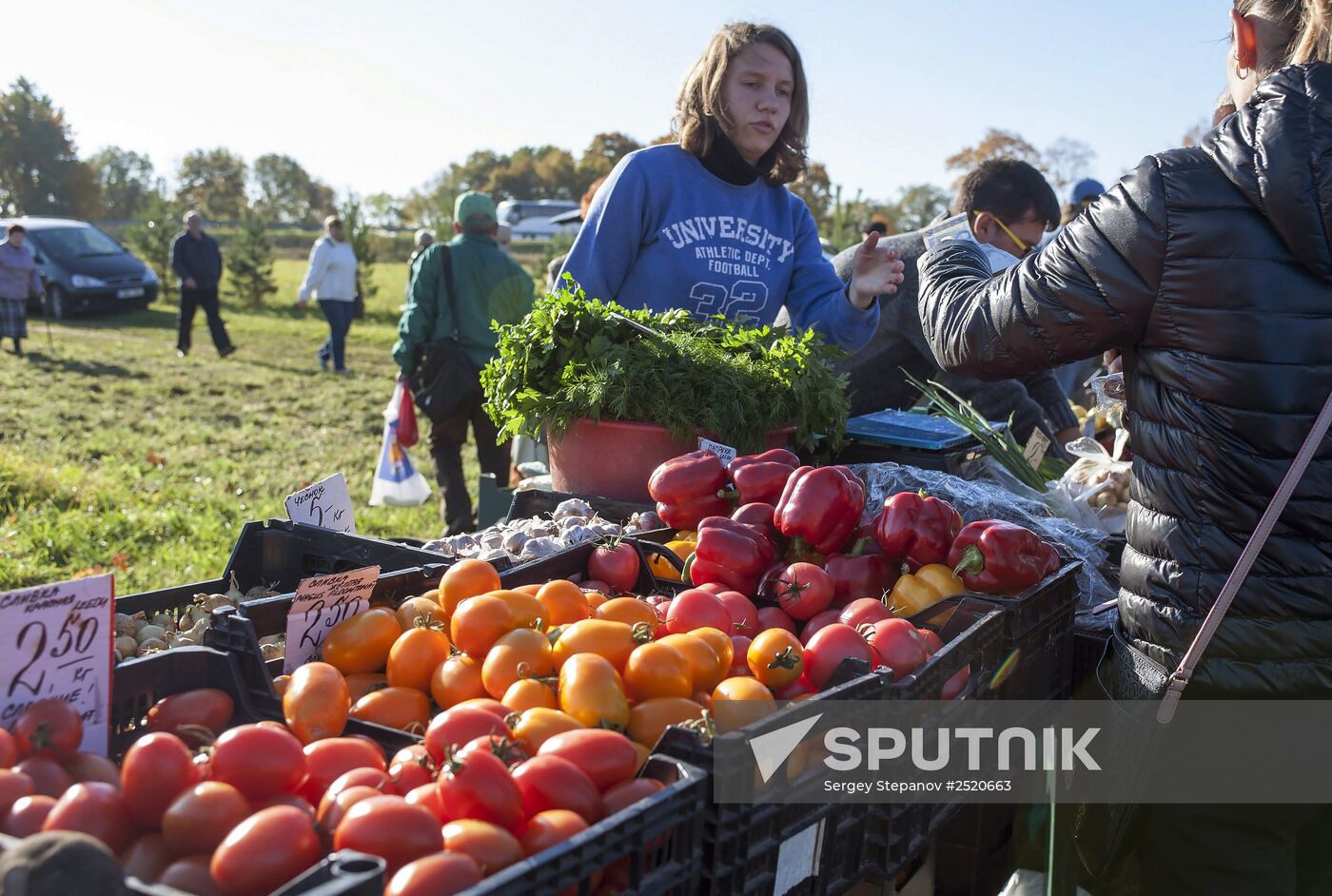 Estonian harvest fair