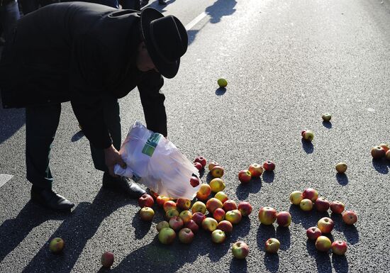 Polish farmers and horticulturists protest in Warsaw