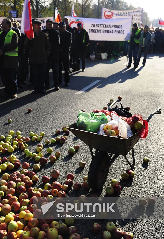 Polish farmers and horticulturists protest in Warsaw