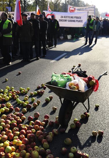 Polish farmers and horticulturists protest in Warsaw