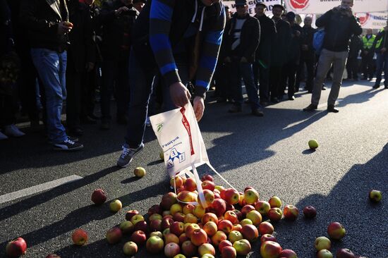 Polish farmers and horticulturists protest in Warsaw