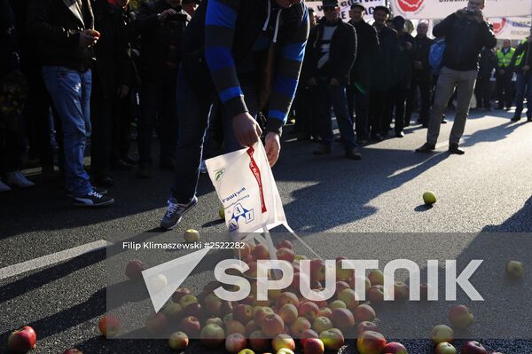Polish farmers and horticulturists protest in Warsaw