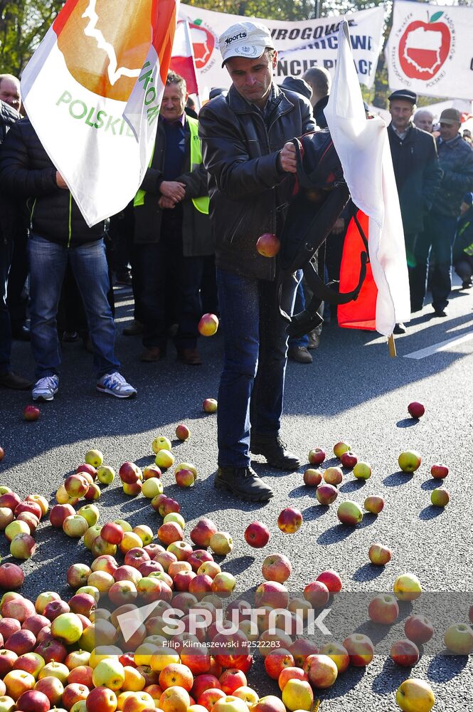 Polish farmers and horticulturists protest in Warsaw