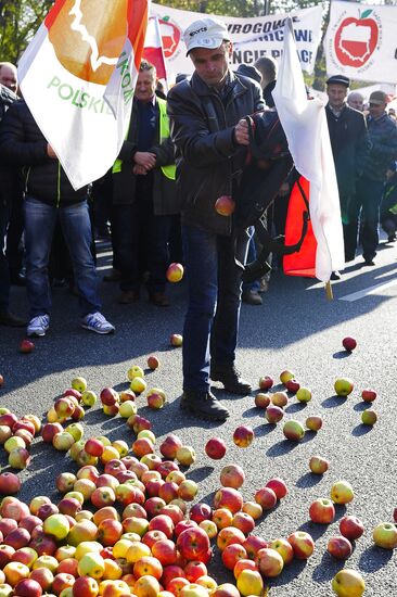 Polish farmers and horticulturists protest in Warsaw