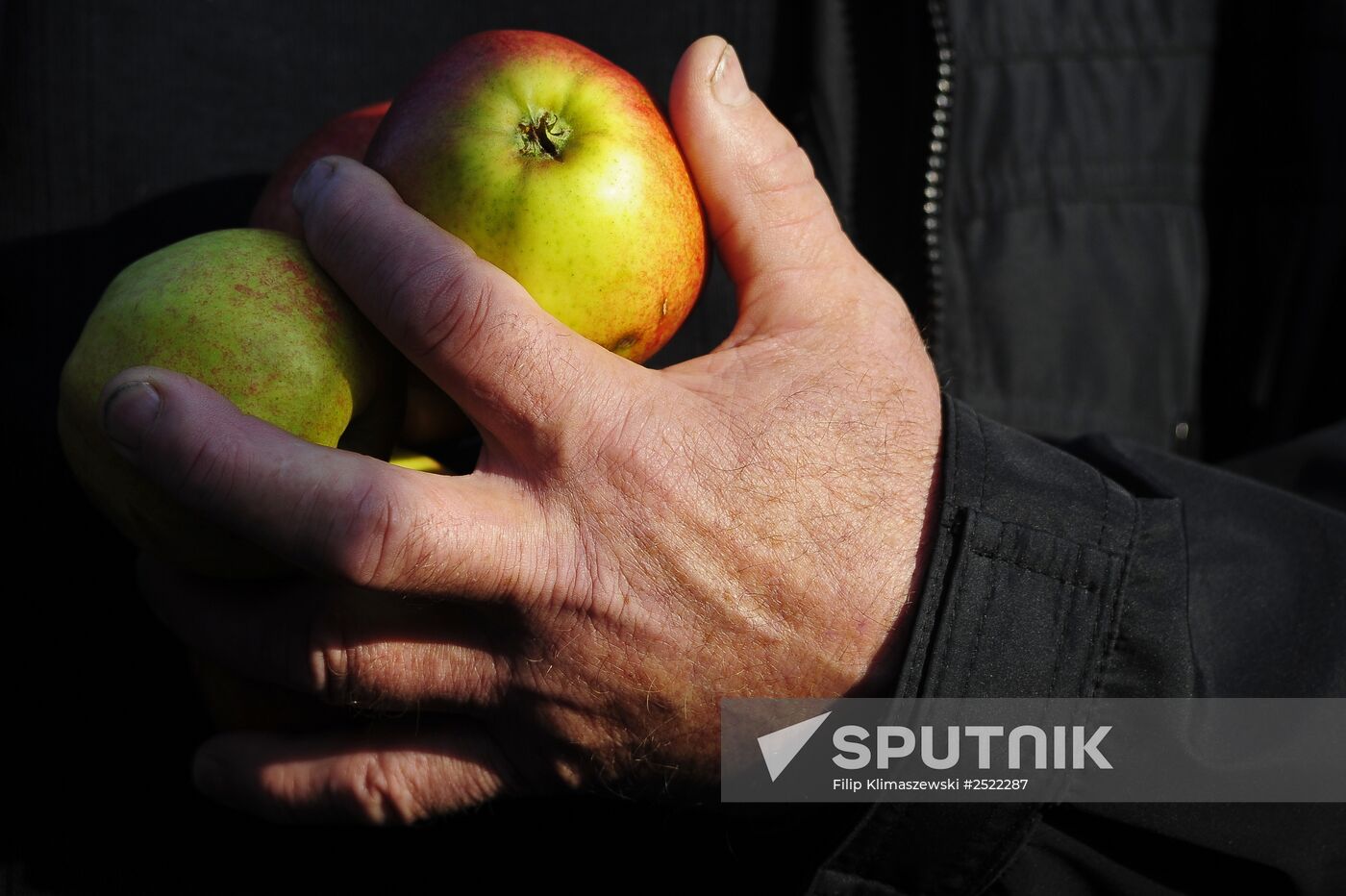 Polish farmers and horticulturists protest in Warsaw