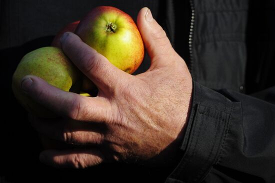 Polish farmers and horticulturists protest in Warsaw