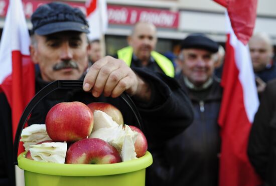 Polish farmers and horticulturists protest in Warsaw