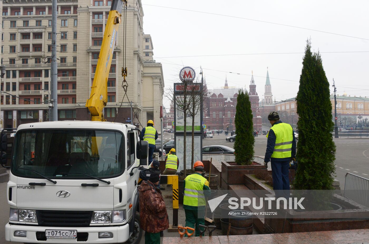 Seasonal replacement of trees in Tverskaya Street