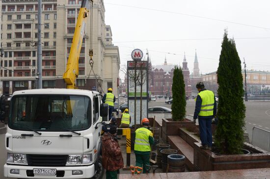 Seasonal replacement of trees in Tverskaya Street