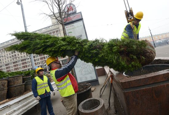 Seasonal replacement of trees in Tverskaya Street