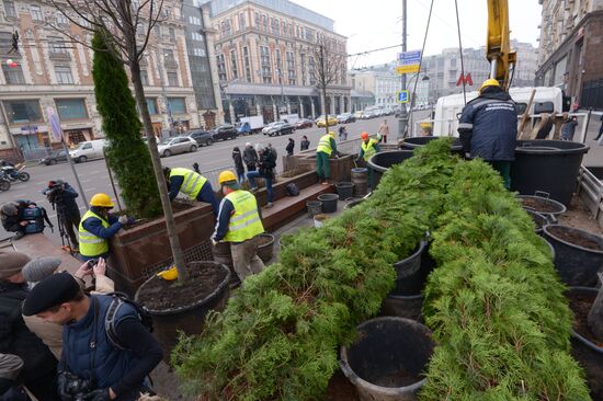 Seasonal replacement of trees in Tverskaya Street